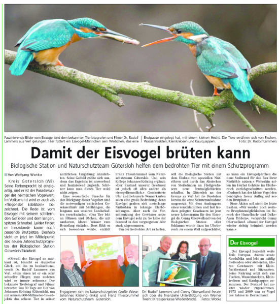 Artikel